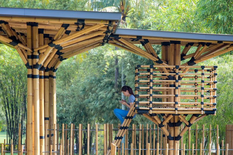 484569313_24113963271541976_4645910063059938580_n