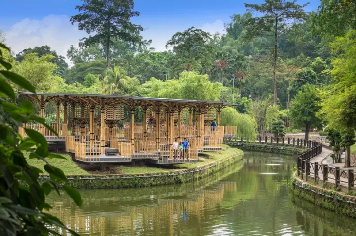 Gỗ, tre Việt-Vật liệu chữa lành, cân bằng tâm hồn trong kiến trúc và nội thất, cảnh quan