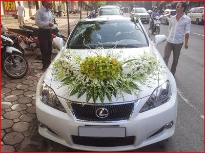 Lexus LS 460L ( Nội Thành )