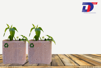 Mẹo tái sử dụng thùng carton hiệu quả tại nhà hoặc văn phòng