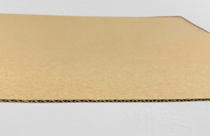 giấy carton 3 lớp sóng E