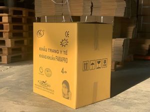 Thùng Carton Đựng Khẩu Trang