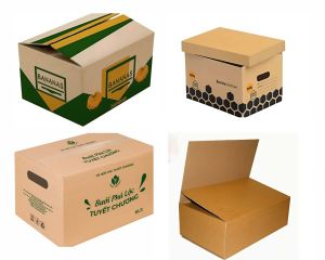 Thùng Carton Đựng Thực Phẩm Khô