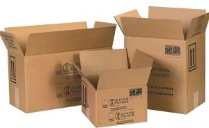Thùng Carton Bảo Vệ Thực Phẩm Đông Lạnh