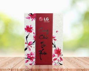 Hộp quà tết LG300x240