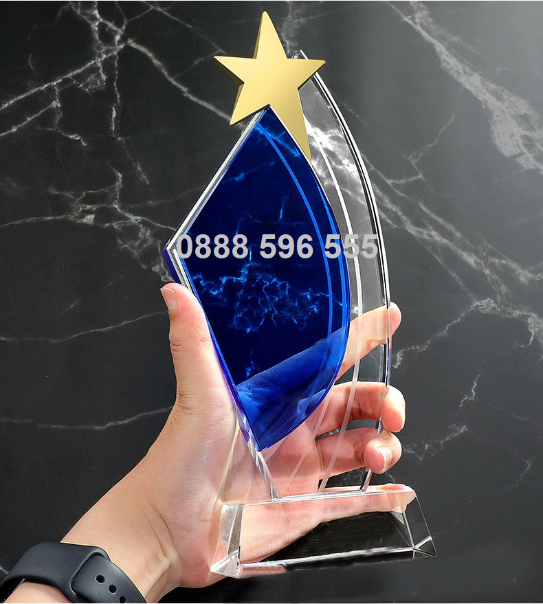 Kỷ niệm chương pha lê (3)