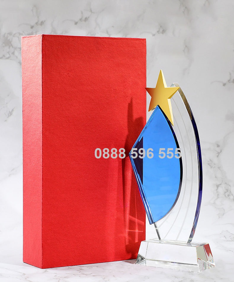 Kỷ niệm chương pha lê (4)