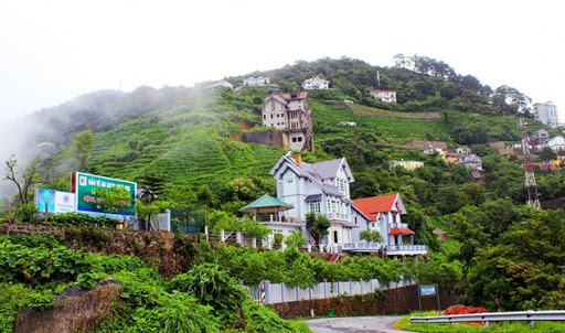 TÂM ĐẢO- VĨNH PHÚC