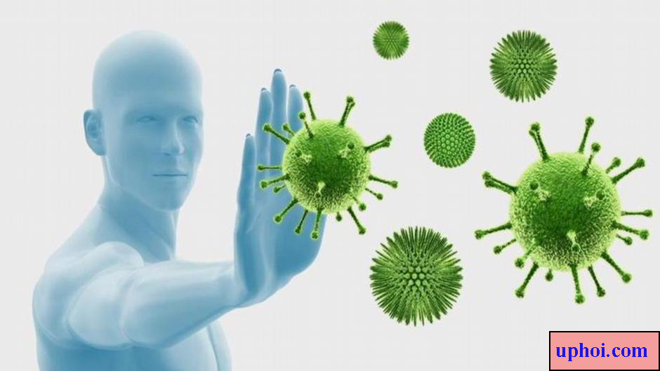 tăng cường miễn dịch