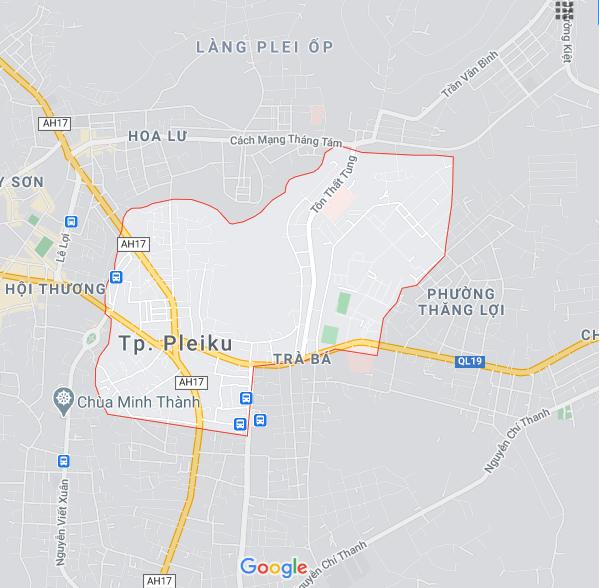 Phù Đổng, Pleiku, Gia Lai