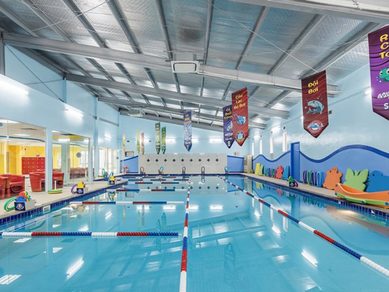 bể bơi tiêu chuẩn cho trường học