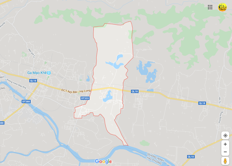 Hoàng quế, Đông triều, Quảng ninh