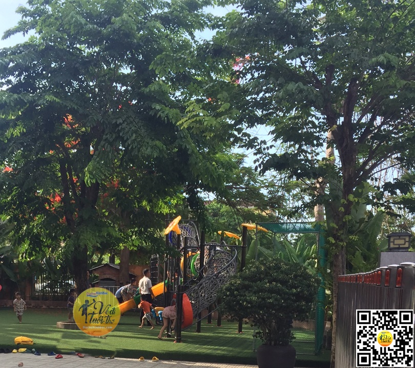 bộ vận động đan dây 