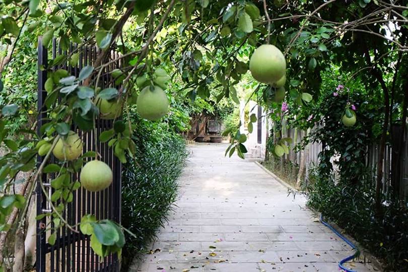 Thủy Biều, TP Huế, Thừa Thiên Huế