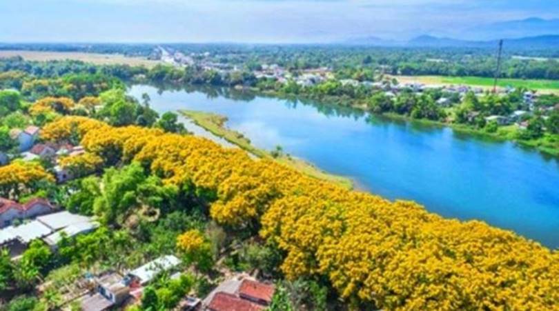 Hòa Hương Tam Kỳ Quảng Nam