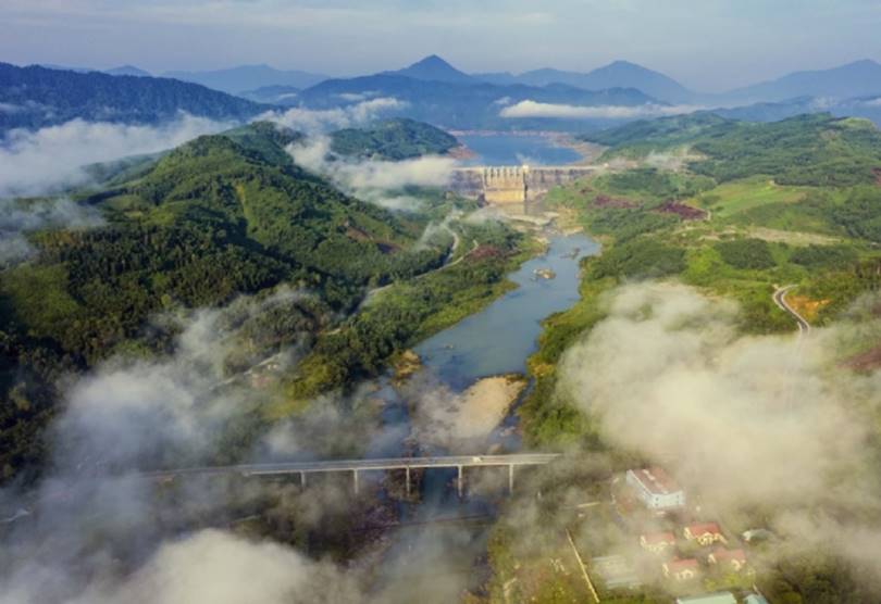 Trà Giáp Bắc Trà My Quảng Nam 