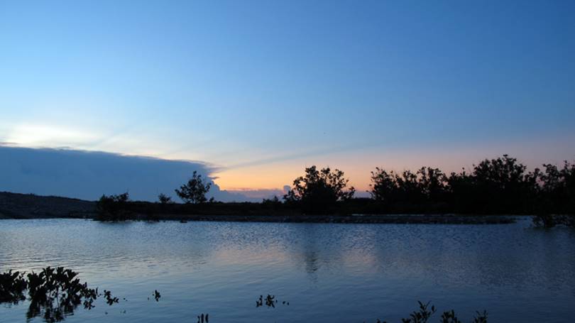 Kim Hải Kim Sơn Ninh Bình 