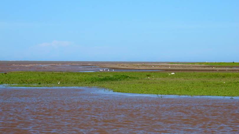 Kim Mỹ Kim Sơn Ninh Bình 