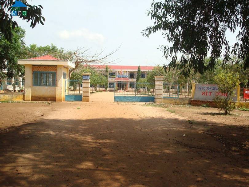 Đức Tín Đức Linh Bình Thuận 