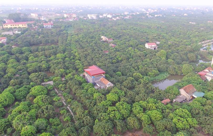 Hồng Nam TP Hưng Yên Hưng Yên