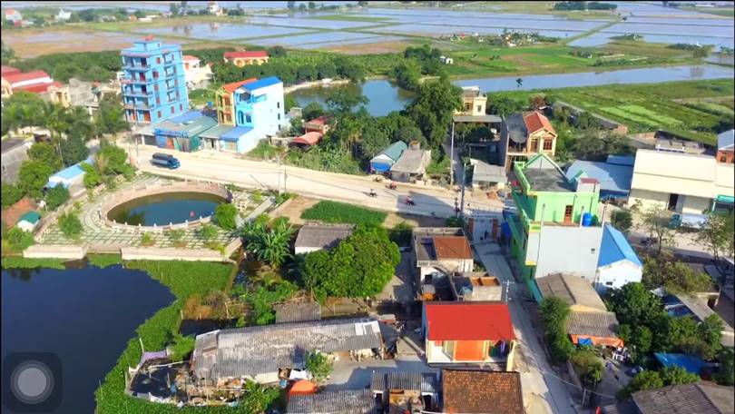 Bãi Sậy Ân Thi Hưng Yên 