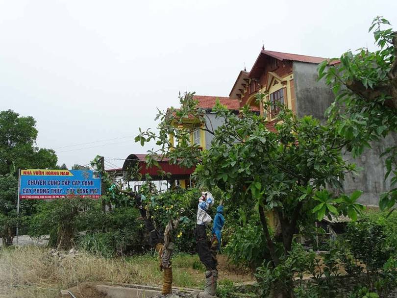 Đào Dương Ân Thi Hưng Yên 