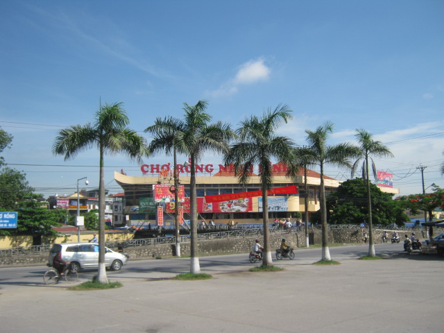 Tại sao bạn nên chọn 