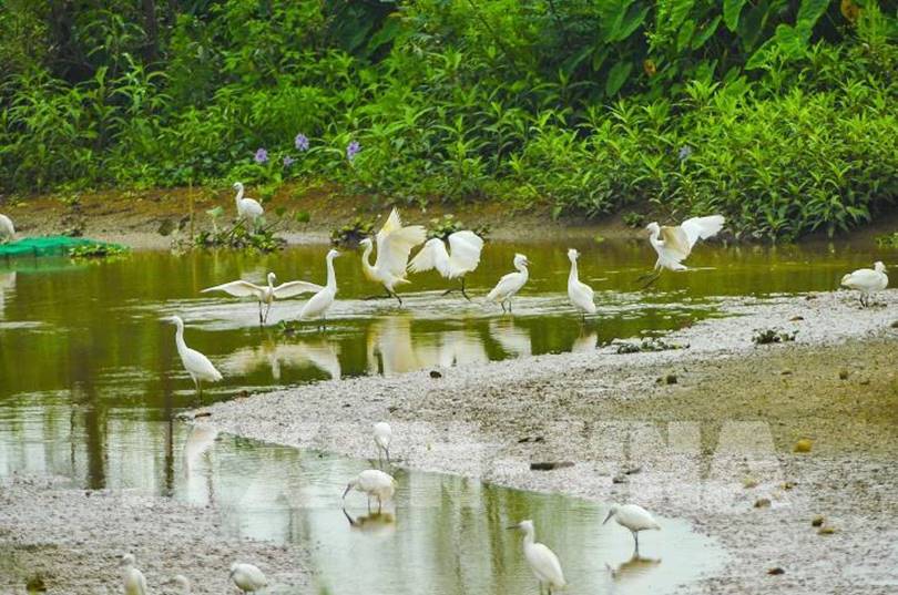 Gia Lạc Gia Viễn Ninh Bình 