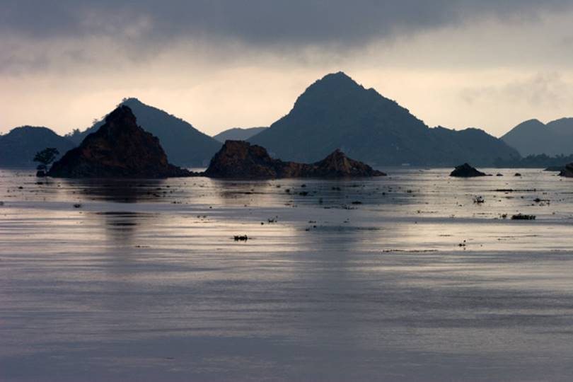 Gia Minh, Gia Viễn Ninh Bình