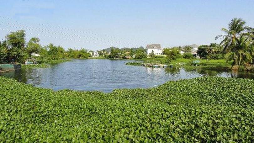 Diên Phú, Diên Khánh Khánh Hòa