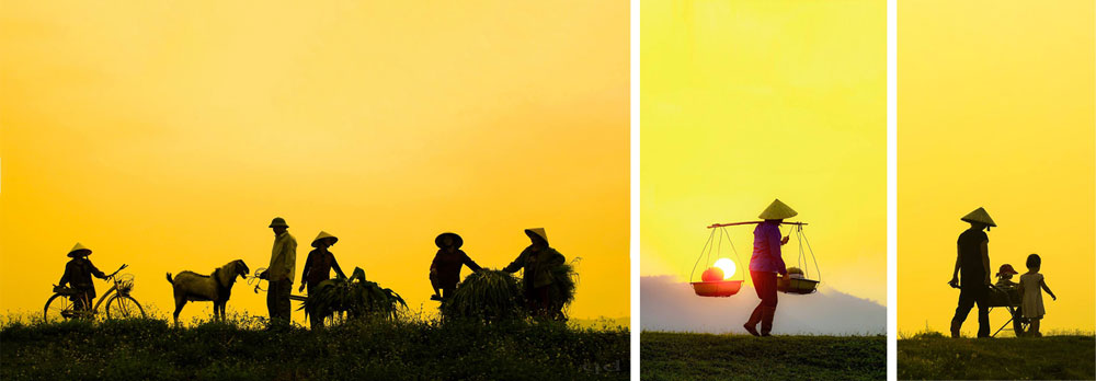 phương pháp nuôi dạy con