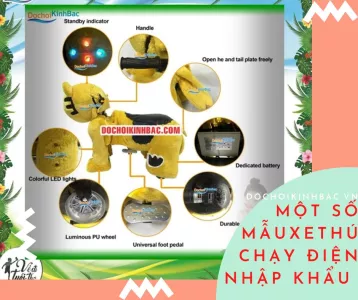 Lợi ích của thú cưỡi bằng điện tại Khánh Hồng Yên Khánh Ninh Bình