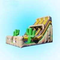 NHÀ PHAO NHÀ HƠI TRƯỢT DỐC 2 PHTD019