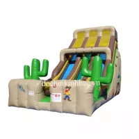 NHÀ PHAO NHÀ HƠI TRƯỢT DỐC 2 PHTD019