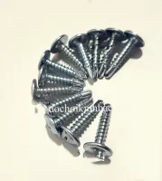 VÍT SẮT DÀI 3 CM NHÀ LIÊN HOÀN