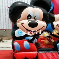 NHÀ HƠI NHÀ PHAO MICKEY NHMK009