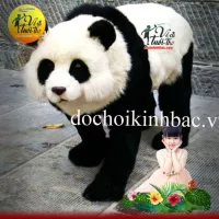 MO HINH GAU CHUC KICH THUOC THAT MHKT11