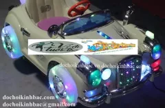 THÚ NHÚN ĐIỆN O TO ND032