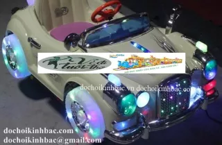 THÚ NHÚN ĐIỆN O TO ND032