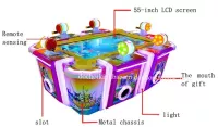 MÁY GAME CÂU CÁ 55INCH MGCC02