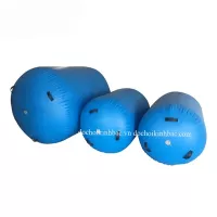 phao hoi the duc nhao lon PTNY044 (5)