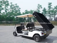 XE ĐIỆN DU LỊCH SÂN GOLD XDSG01