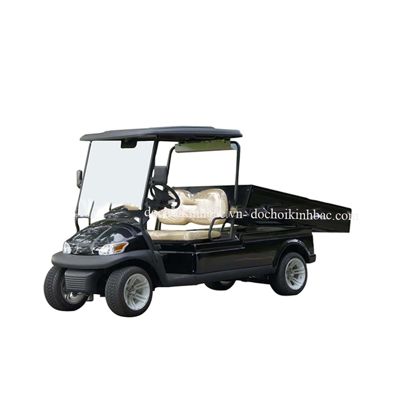 XE ĐIỆN DU LỊCH SÂN GOLD XDSG01