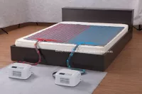 Giường nước 2021