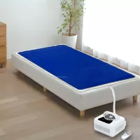 Giường nước 2021