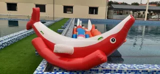 BẬP BÊNH CÁ HEO PHAO HƠI