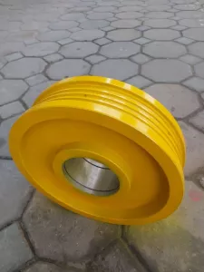 BULI DẪN HƯỚNG
