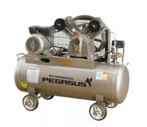 Nén khí Pegasus TM-V-0.25/12.5-120L (220V) 3HP
