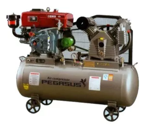 Nén khí Diesel Pegasus TM-V-1.05/12.5-500L