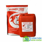 Munich G20